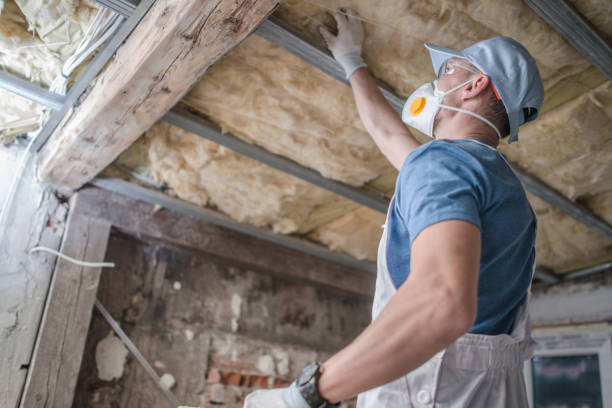 Best Insulation Maintenance and Repair in Cross Lanes, WV